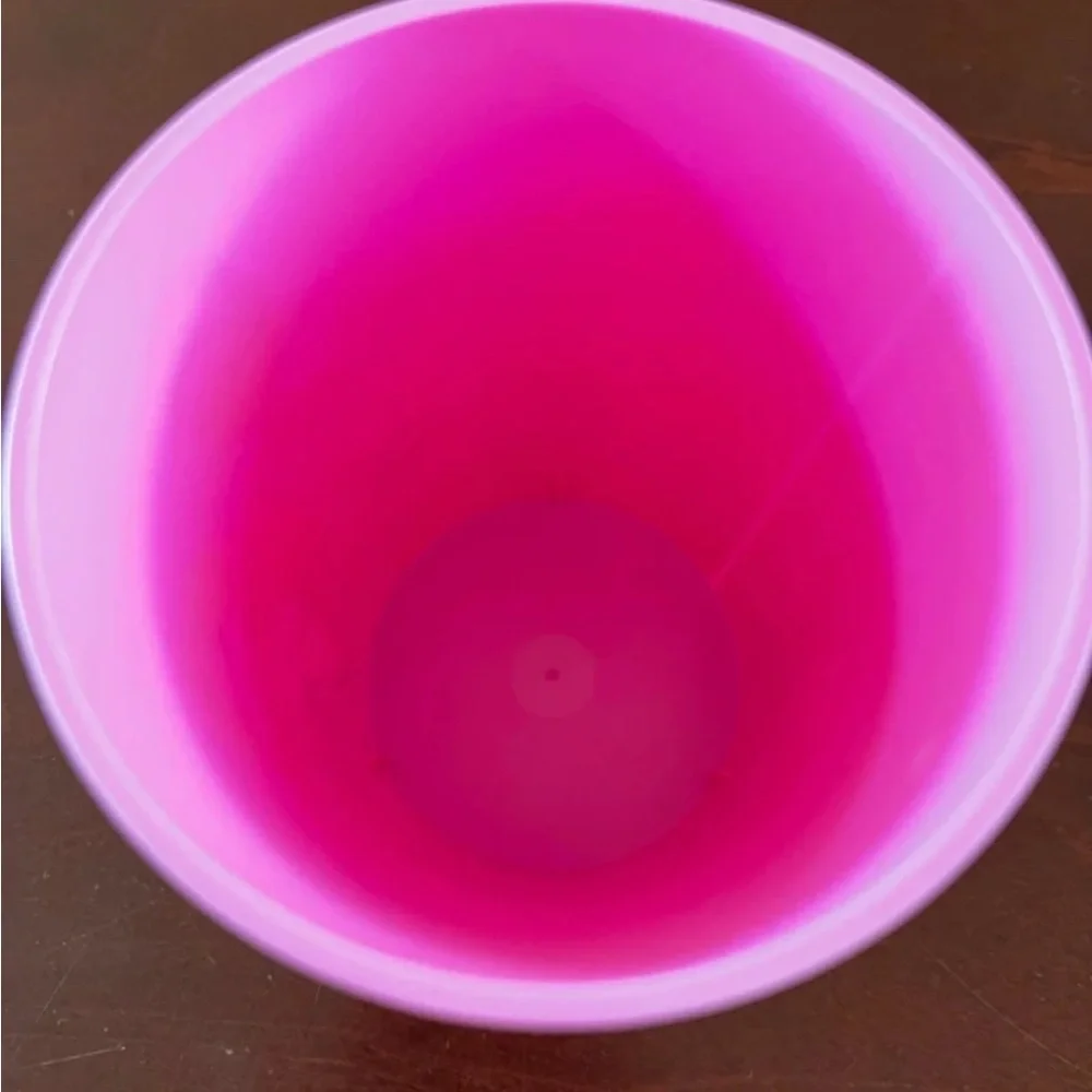DISNEY Hallmark Party Princess Plastic Kids Cup New